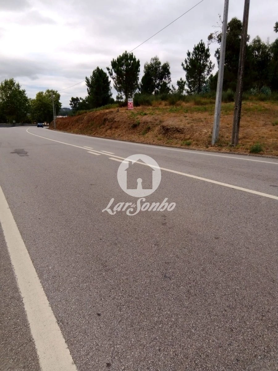 Terreno Agricola ou Rústico para Venda em Travanca Foto 4