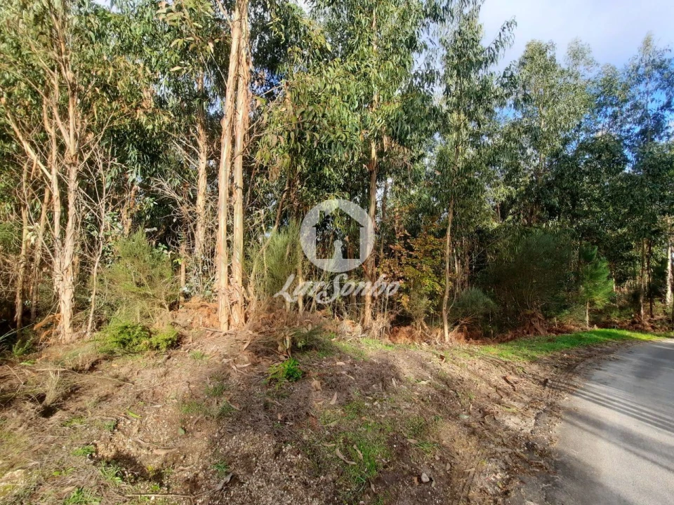 Terreno Agricola ou Rústico para Venda em Basto (São Clemente) Foto 2