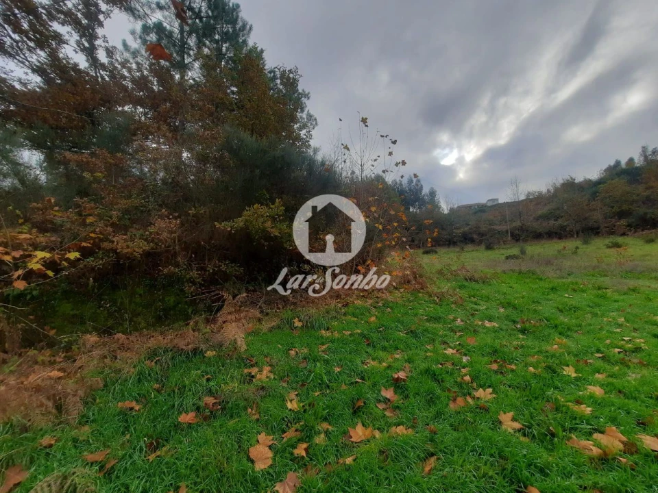 Terreno Agricola ou Rústico para Venda em Basto (São Clemente) Foto 4