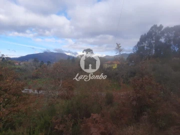 Terreno Agricola ou Rústico para Venda em Basto (São Clemente)