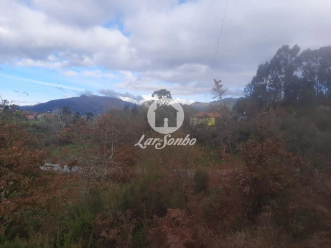 Terreno Agricola ou Rústico para Venda em Basto (São Clemente) Foto 3
