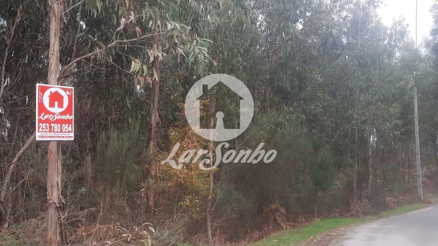 Terreno Agricola ou Rústico para Venda em Basto (São Clemente)