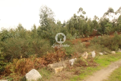 Terreno Agricola ou Rústico para Venda em São Gens