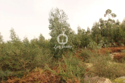 Terreno Agricola ou Rústico para Venda em São Gens