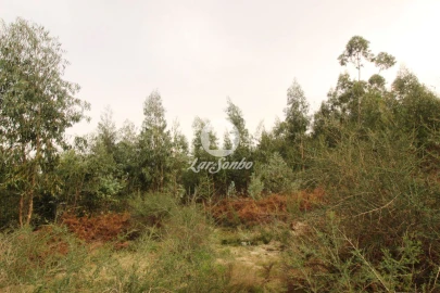 Terreno Agricola ou Rústico para Venda em São Gens