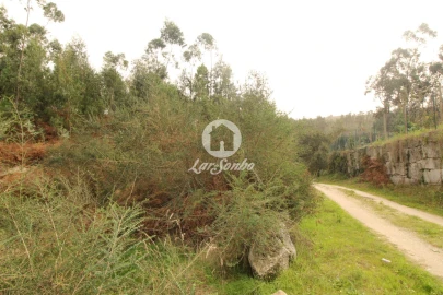 Terreno Agricola ou Rústico para Venda em São Gens