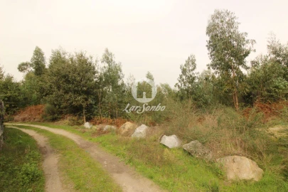 Terreno Agricola ou Rústico para Venda em São Gens