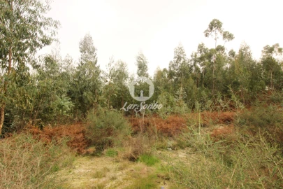 Terreno Agricola ou Rústico para Venda em São Gens