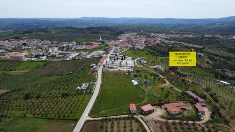 Quinta para Venda em Alfandega da Fe