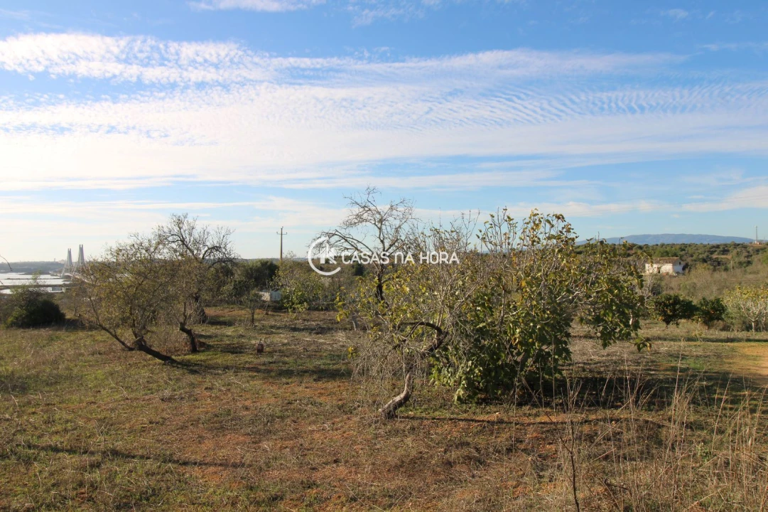 Quinta T1 para Venda em Estômbar e Parchal Foto 13