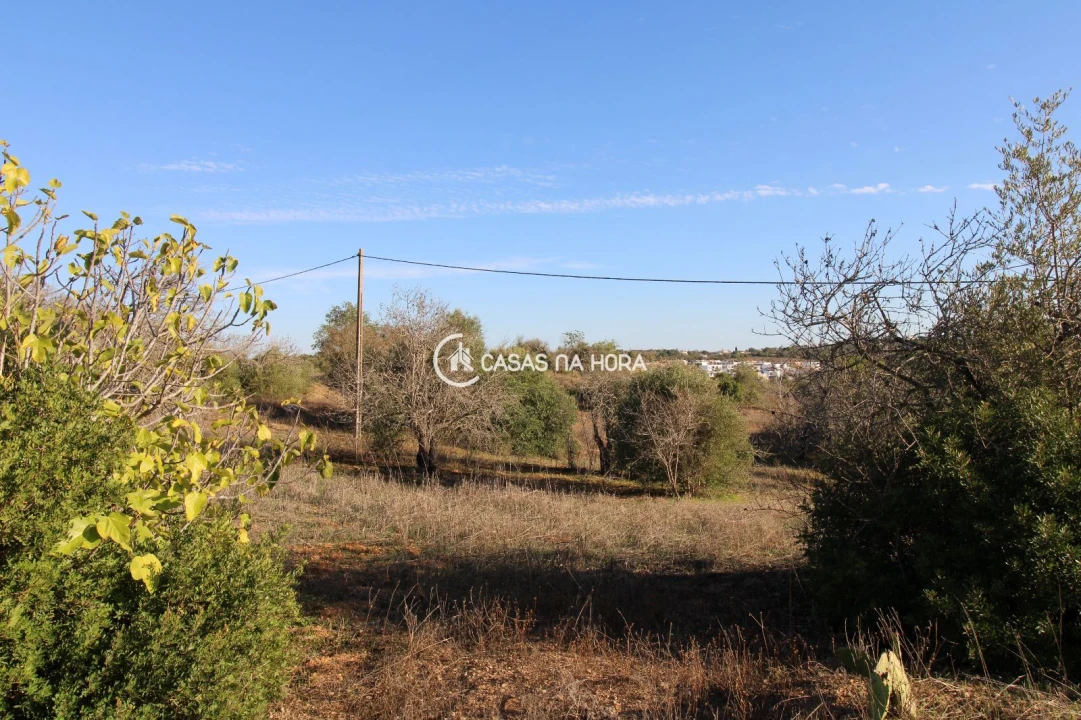 Quinta T1 para Venda em Estômbar e Parchal Foto 23