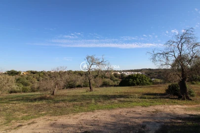 Quinta T1 para Venda em Estômbar e Parchal