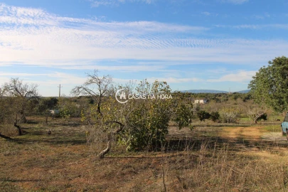 Quinta T1 para Venda em Estômbar e Parchal