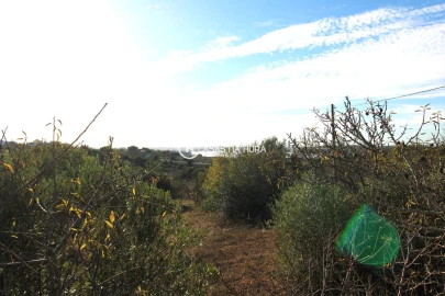Quinta T1 para Venda em Estômbar e Parchal