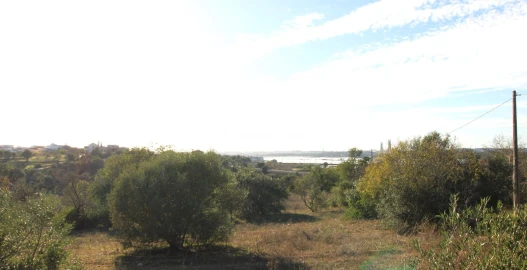 Quinta T1 para Venda em Estômbar e Parchal