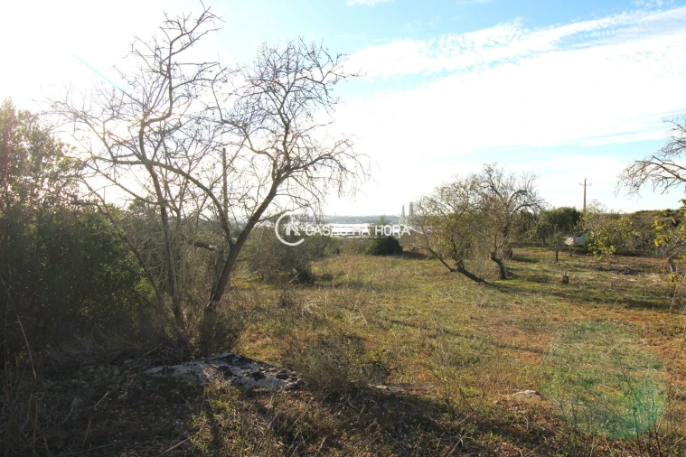 Quinta T1 para Venda em Estômbar e Parchal Foto 11