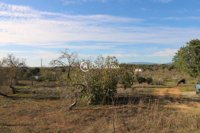 Quinta T1 para Venda em Estômbar e Parchal Foto 14