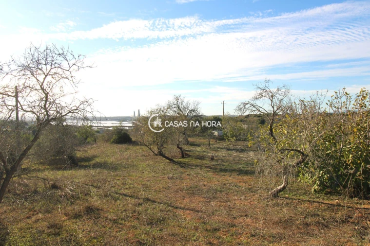 Quinta T1 para Venda em Estômbar e Parchal Foto 25