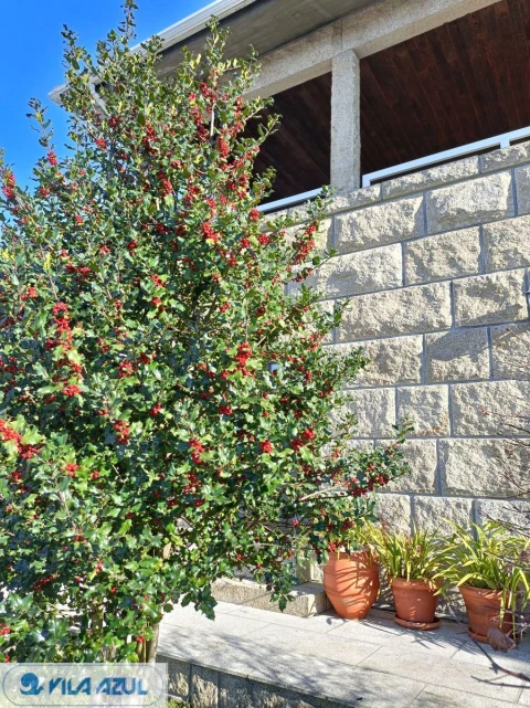 Terreno para Venda em Costa