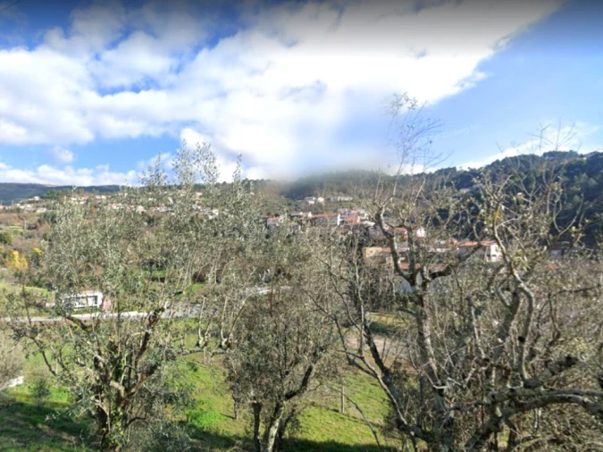 Terreno para Venda em Ansiães Foto 5