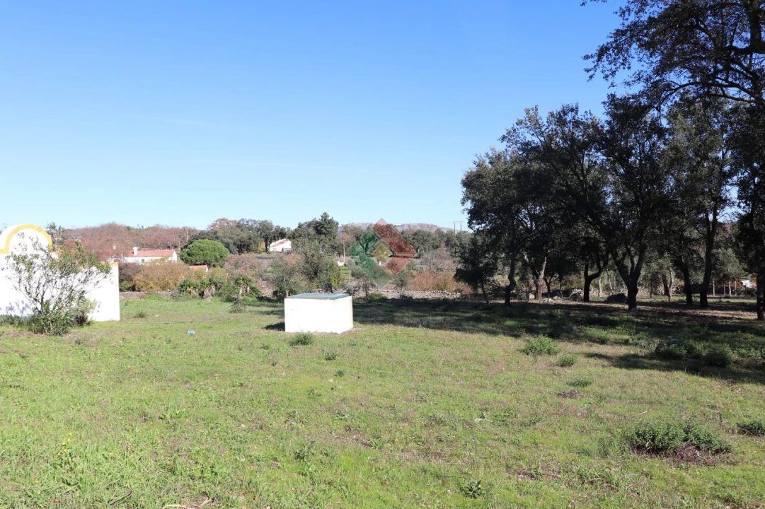 Quinta T3 para Venda em São Salvador da Aramenha Foto 9