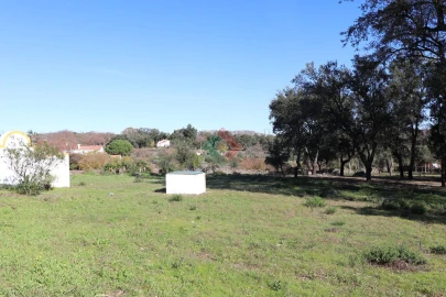 Quinta T3 para Venda em São Salvador da Aramenha