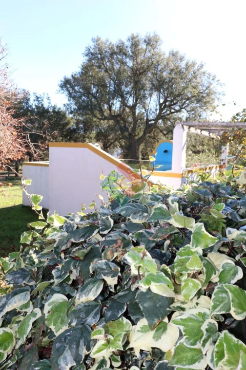 Quinta T3 para Venda em São Salvador da Aramenha