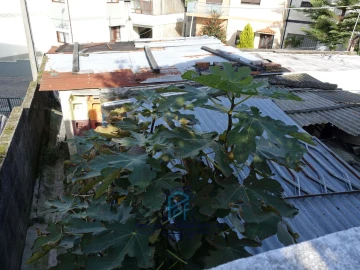 Moradia T1 para Venda em Baguim do Monte (Rio Tinto)