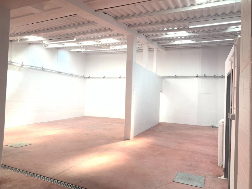 Negócio para Arrendamento em Cedofeita, Santo Ildefonso, Sé, Miragaia, São Nicolau e Vitória Foto 5