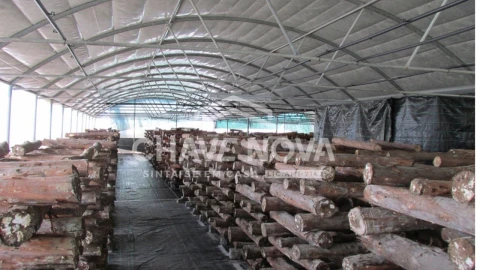 Quinta para Venda em Estorãos