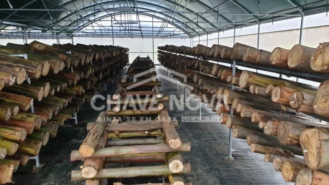 Quinta para Venda em Estorãos