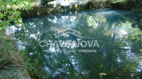 Quinta para Venda em Estorãos