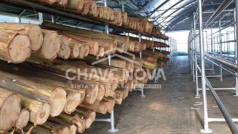 Quinta para Venda em Estorãos