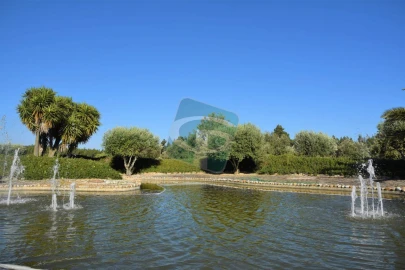 Quinta T1 para Venda em Vila Chã de Ourique