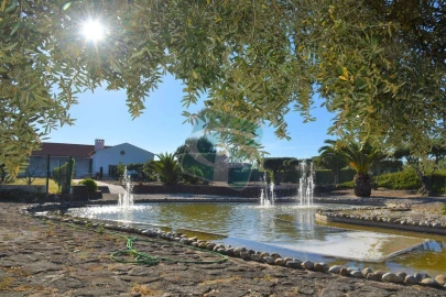 Quinta T1 para Venda em Vila Chã de Ourique