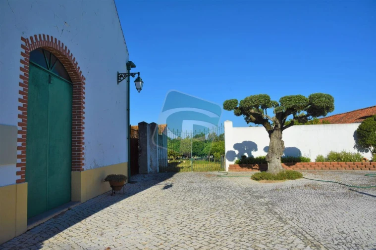 Quinta T1 para Venda em Vila Chã de Ourique Foto 14