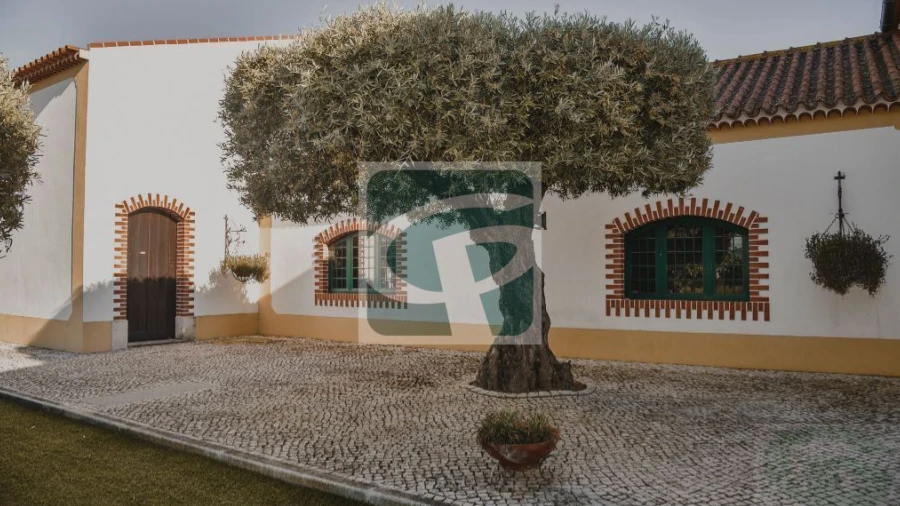Quinta T1 para Venda em Vila Chã de Ourique