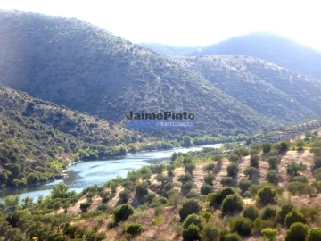 Terreno Agricola ou Rústico para Venda em Ligares