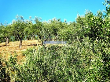 Terreno Agricola ou Rústico para Venda em Ligares