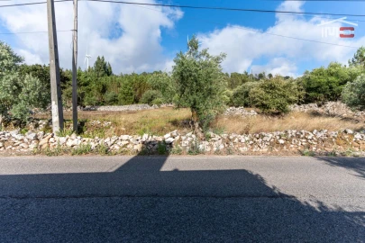 Terreno Agricola ou Rústico para Venda em São Mamede