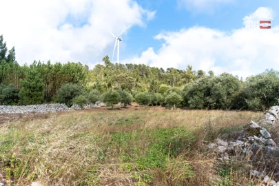 Terreno Agricola ou Rústico para Venda em São Mamede