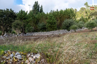 Terreno Agricola ou Rústico para Venda em São Mamede