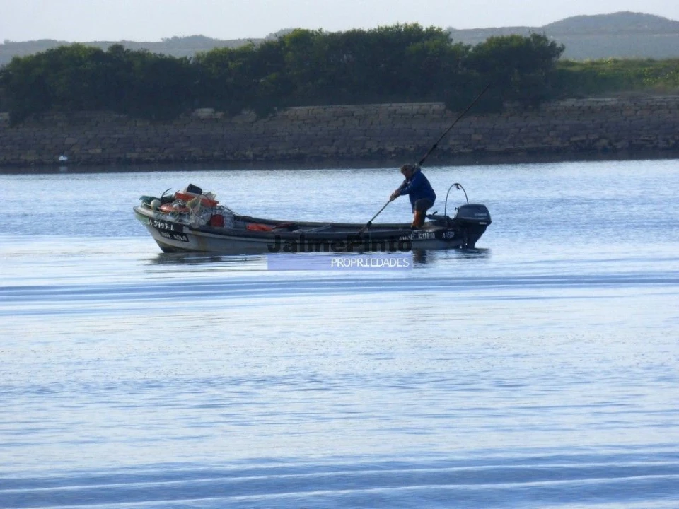 Prédio para Venda em Albergaria-A-Velha e Valmaior Foto 3