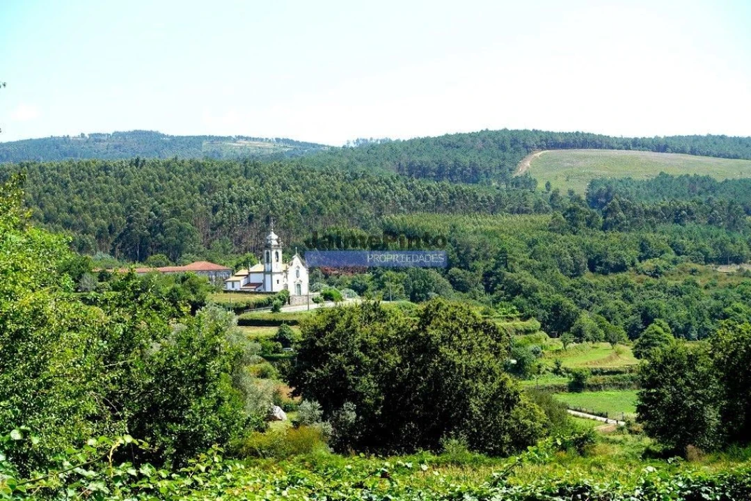Terreno Misto para Venda em Agualonga Foto 2