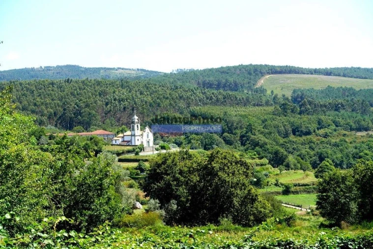 Terreno Misto para Venda em Agualonga Foto 2