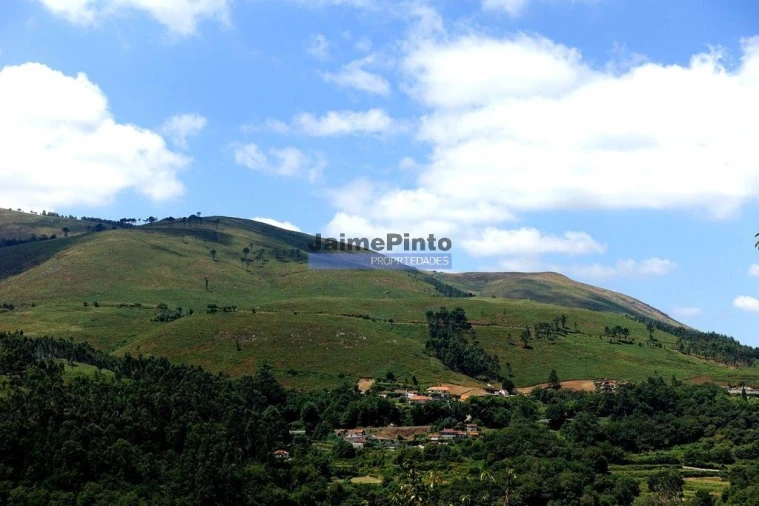 Terreno Misto para Venda em Agualonga Foto 7
