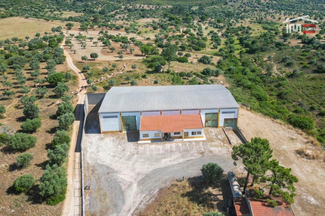 Armazém para Arrendamento em Moitas Venda Foto 4