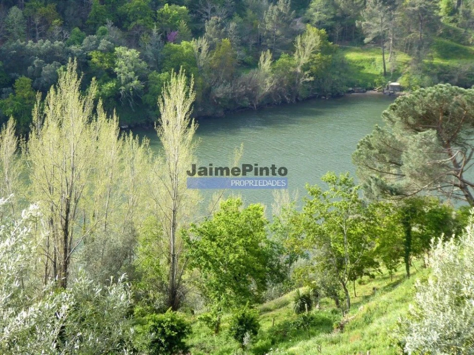 Quinta T0 para Venda em Marco Foto 9