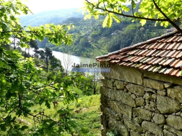 Quinta T0 para Venda em Marco