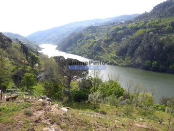 Quinta T0 para Venda em Marco